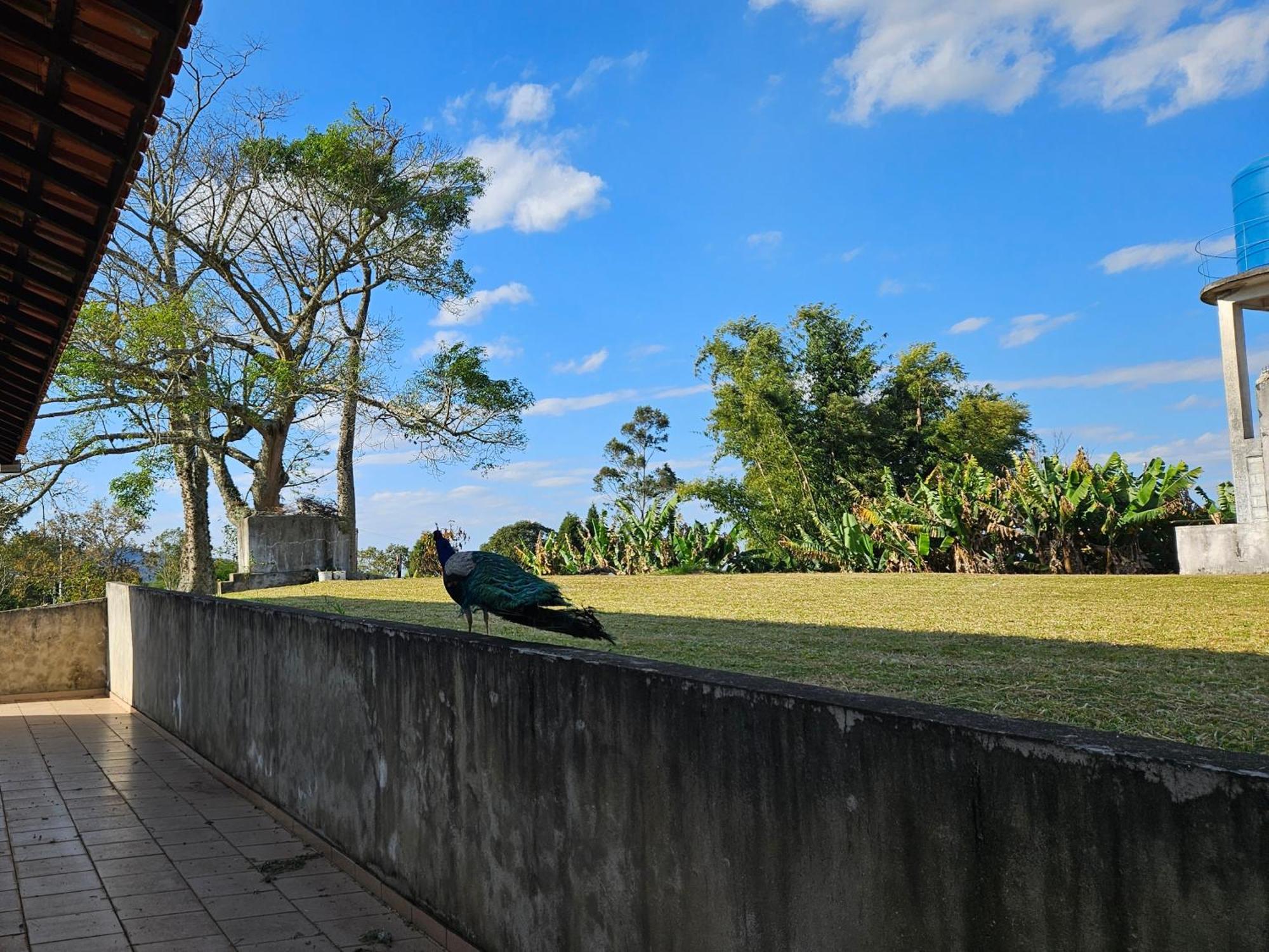 Sitio Santa Filomena - Sao Roque Villa - Sao Paulo — Photos 2